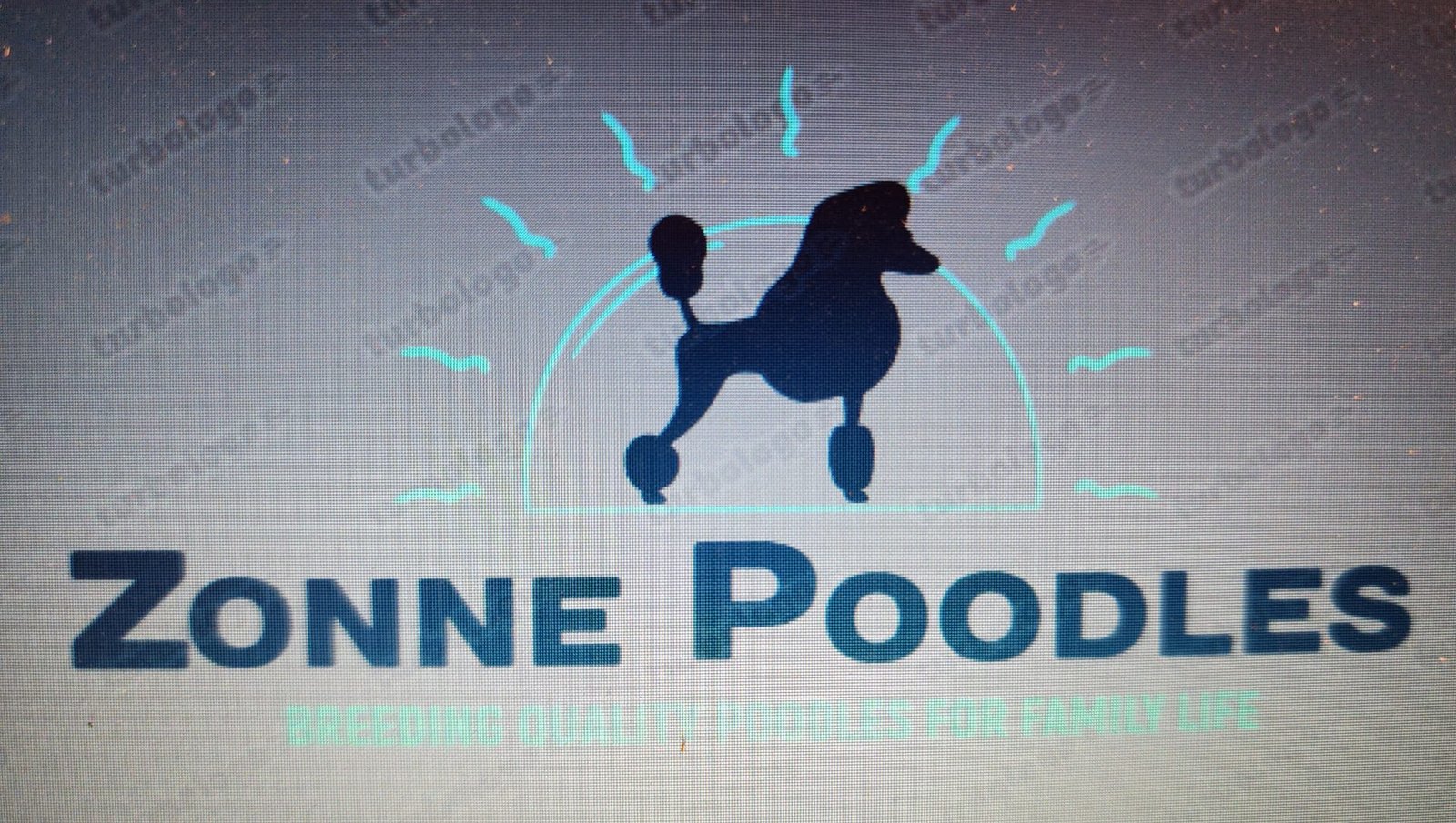 Zonne Poodles